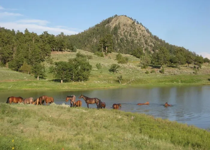 Vakantieboerderij Guest Ranch