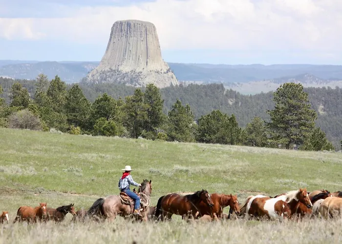 Guest Ranch * Devils Tower